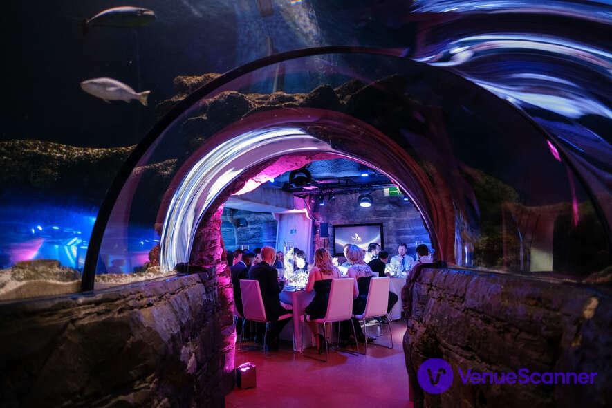 Sea Life London Aquarium, Whole Venue