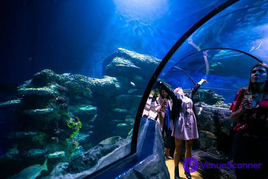 Hire Sea Life London Aquarium Whole Venue 9