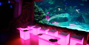 Sea Life London Aquarium Whole Venue 0