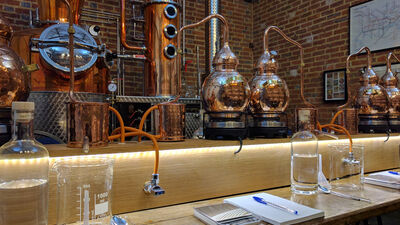 Greensand Ridge Distillery, The Gin Experience
