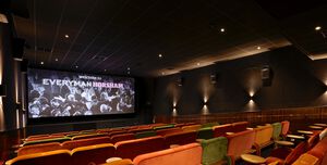 Everyman Cinema Horsham, Screen 1