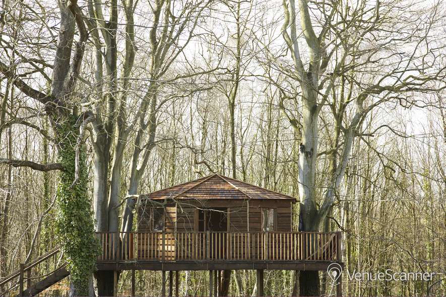 New Place Hotel - Hampshire, The Tree House
