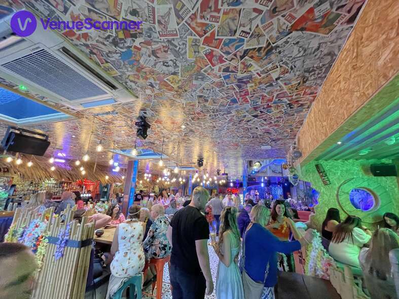 Hire Rumba 19