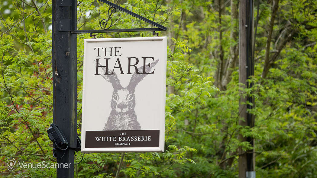 Hire The Hare 2