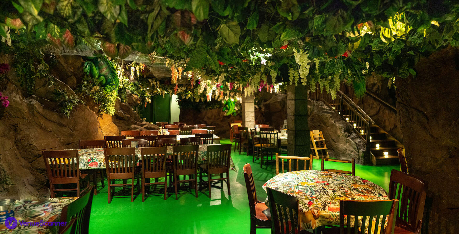 Hire Jungle Cave Forest Floor VenueScanner