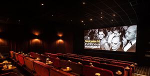 Everyman Cinema Wokingham, Screen 2