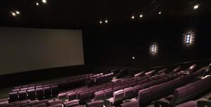 The Light Cinema, Cambridge, Screen 8